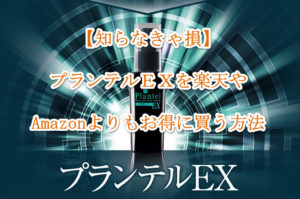【知らなきゃ損】プランテルEXを楽天やAmazonよりもお得に買う方法